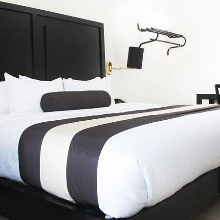 Hotel El Camino Inn & Suites Reynosa Buitenkant foto