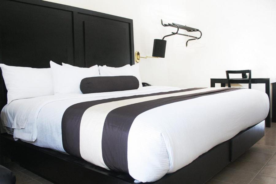 Hotel El Camino Inn & Suites Reynosa Buitenkant foto